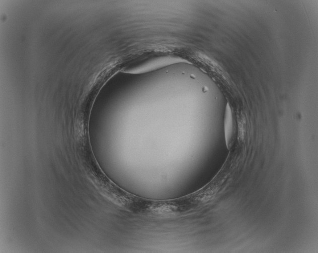 X0000076090407200610061646