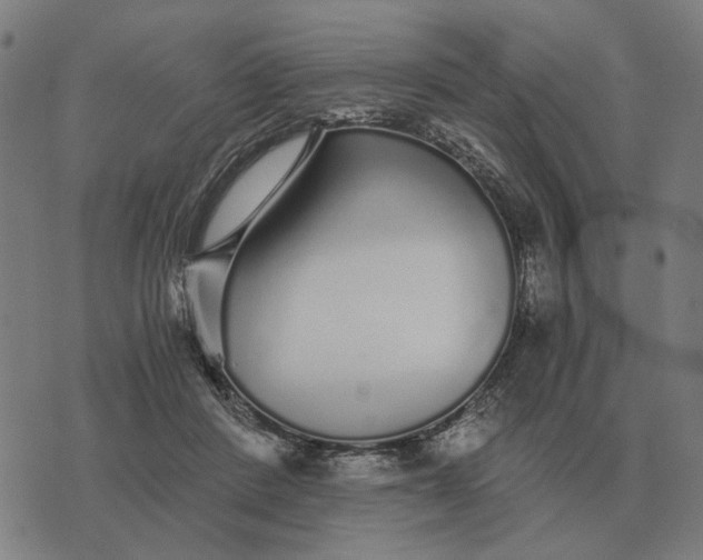 X0000076090408200610061646