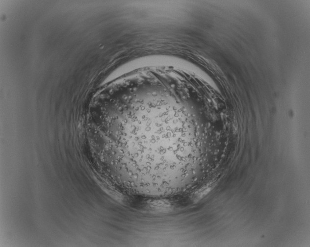 X0000076090409200610061646