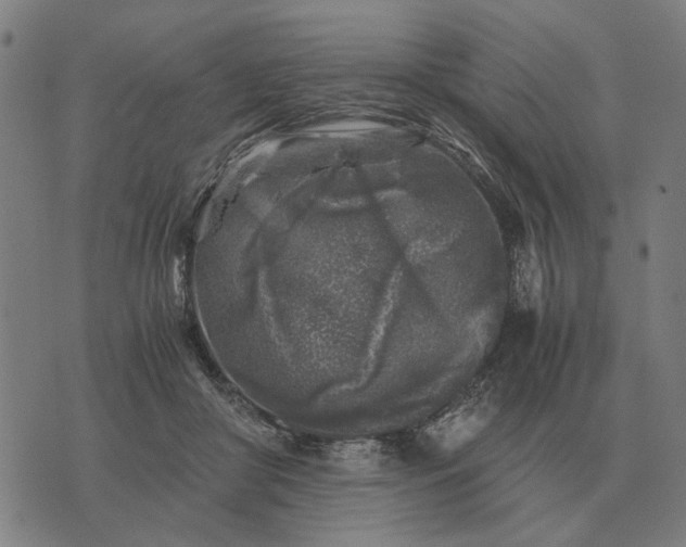 X0000076090410200610061646