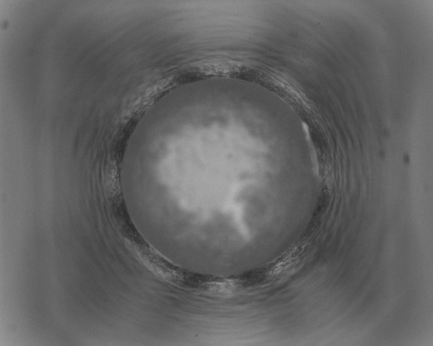 X0000076090411200610061646