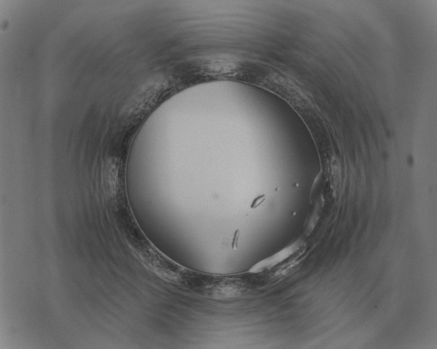 X0000076090412200610061646