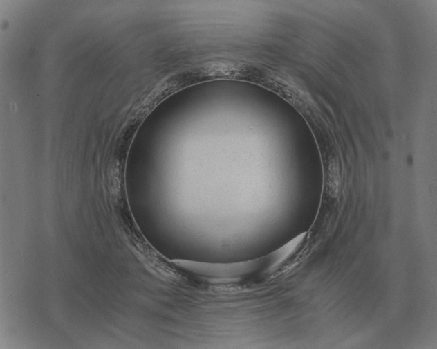 X0000076090413200610061646