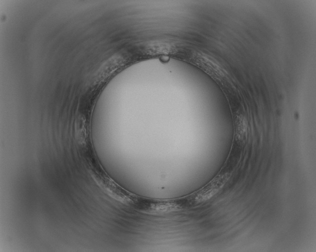 X0000076090414200610061646