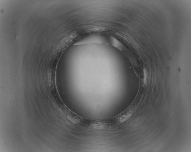 X0000076090416200610061646