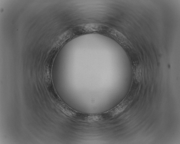 X0000076090418200610061646