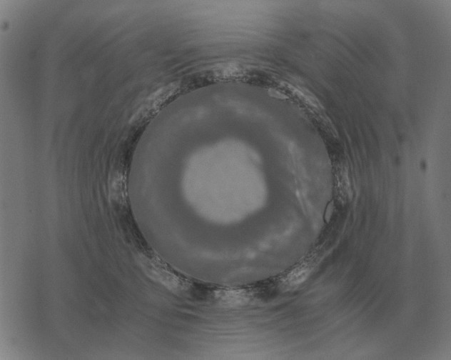 X0000076090419200610061646