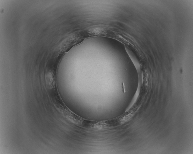 X0000076090420200610061646