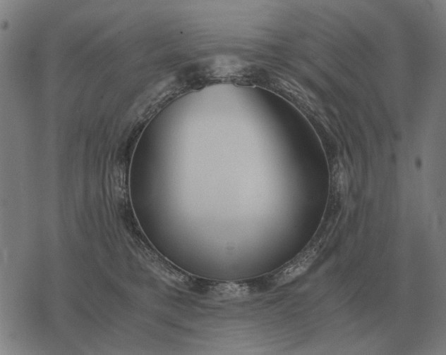 X0000076090421200610061646