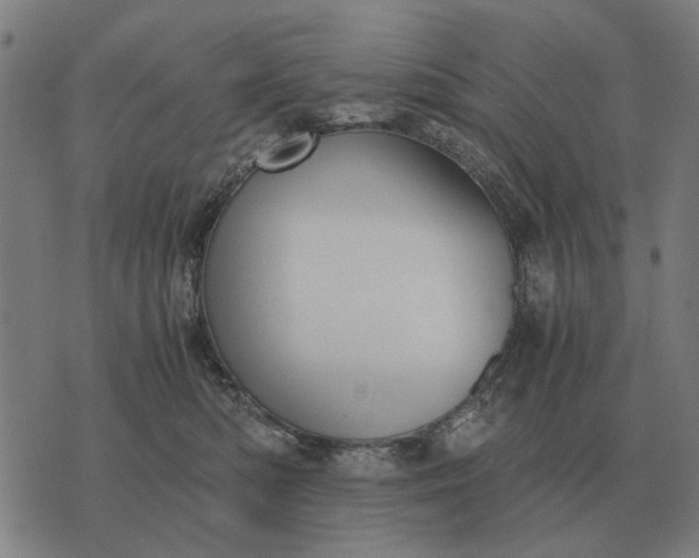 X0000076090422200610061646