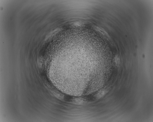 X0000076090423200610061646