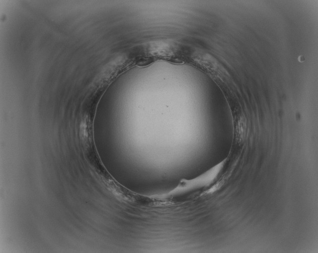 X0000076090424200610061646