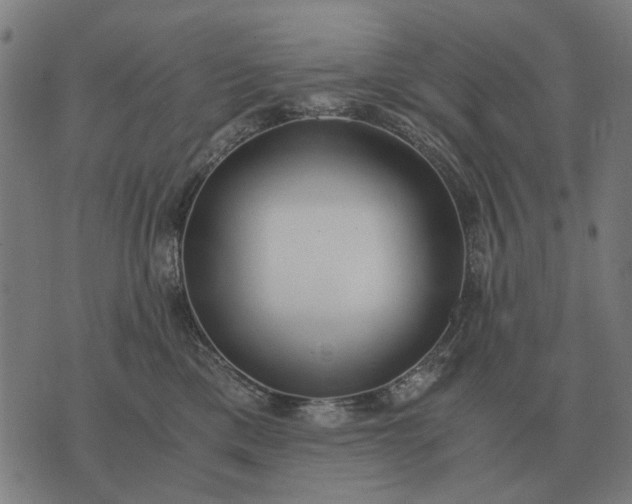 X0000076090425200610061646