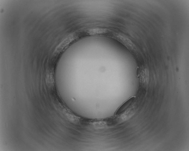 X0000076090426200610061646