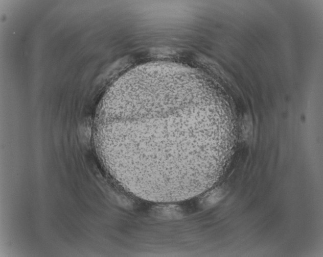 X0000076090427200610061646