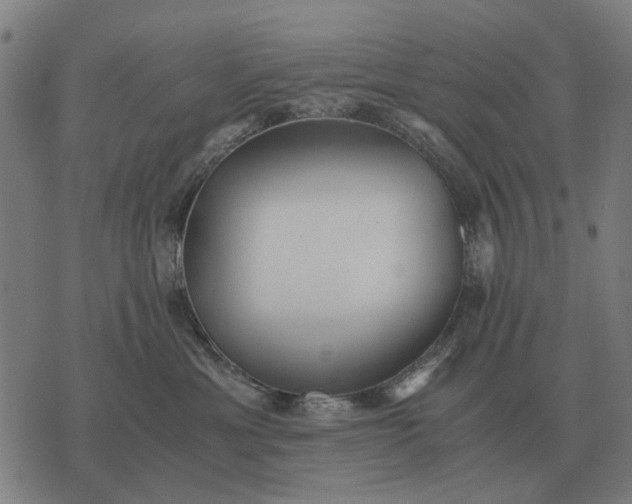 X0000076090429200610061646