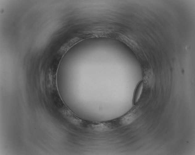 X0000076090430200610061646