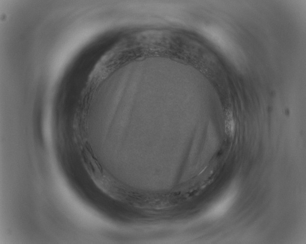 X0000076090431200610061646