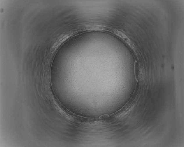 X0000076090433200610061645