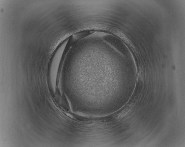 X0000076090434200610061645