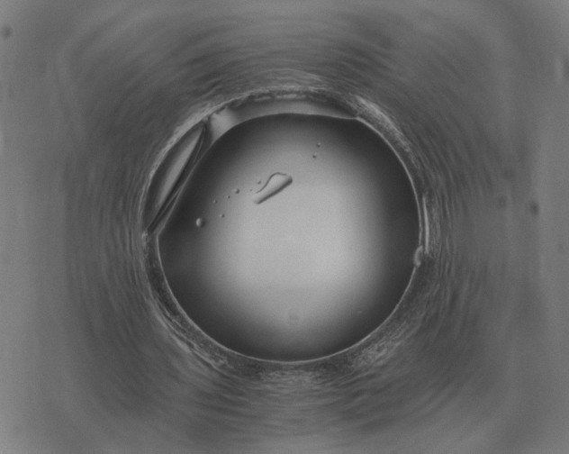 X0000076090435200610061645