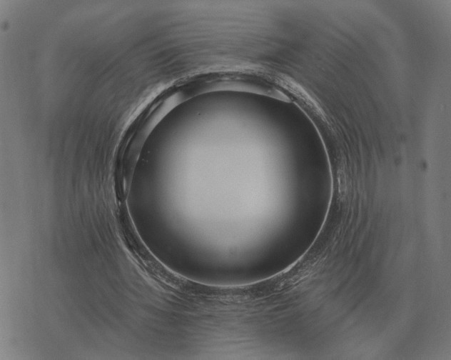 X0000076090436200610061645