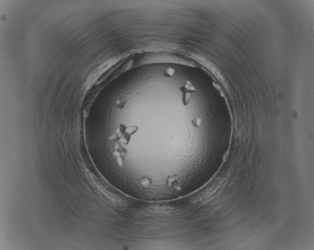 X0000076090437200610061645