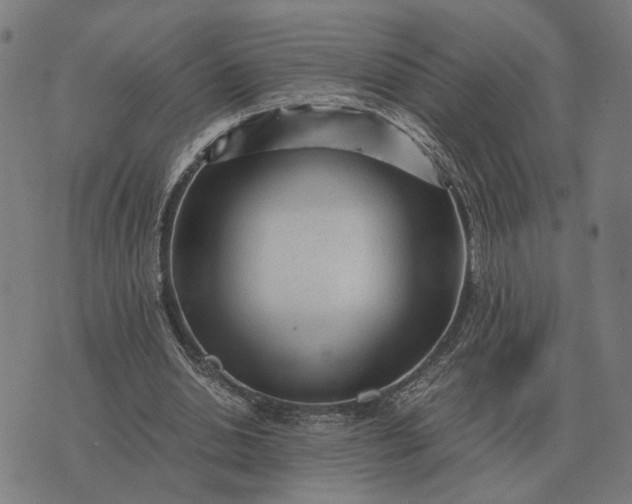 X0000076090438200610061645