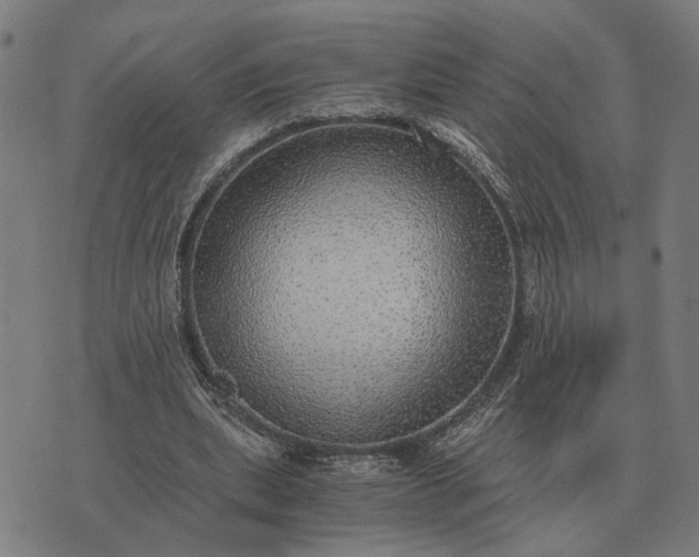 X0000076090439200610061645