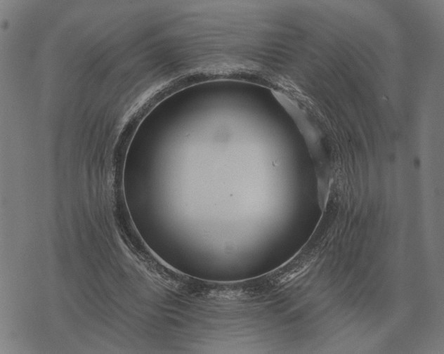 X0000076090440200610061645