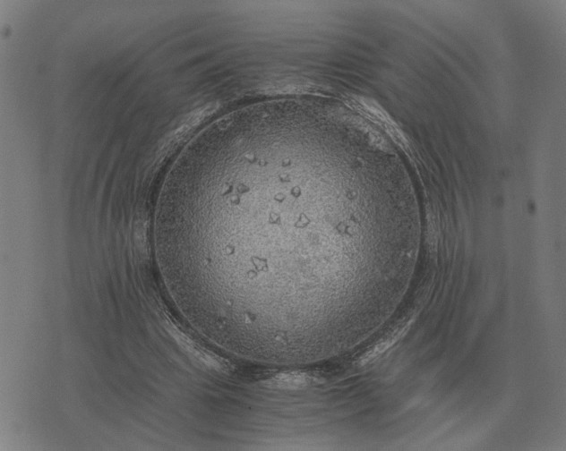 X0000076090441200610061645