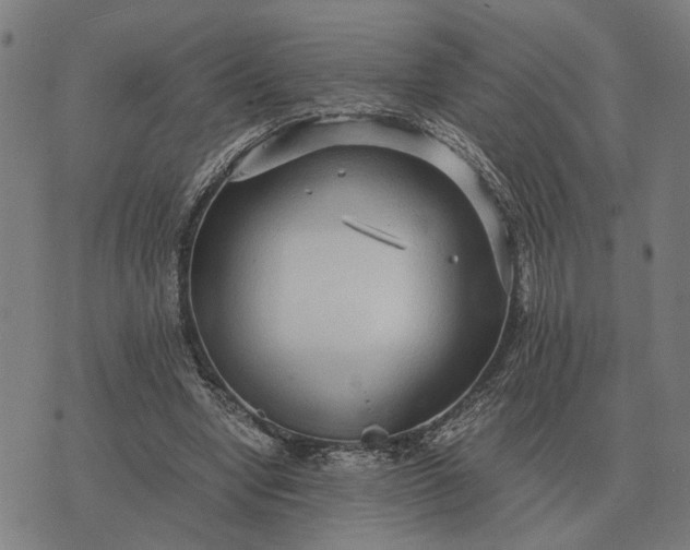 X0000076090442200610061645