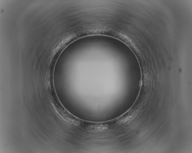 X0000076090443200610061645