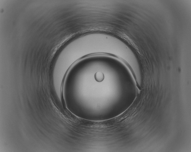 X0000076090444200610061645