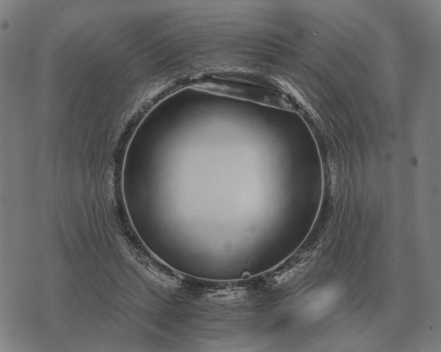 X0000076090447200610061645