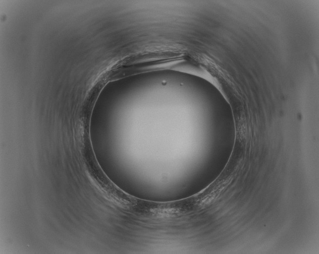 X0000076090448200610061645