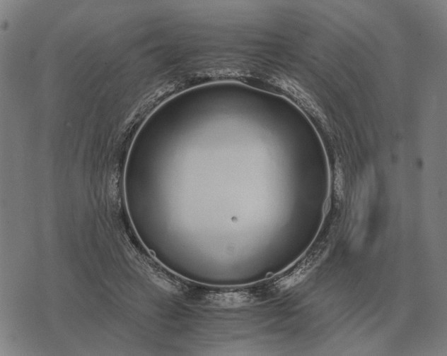 X0000076090449200610061645