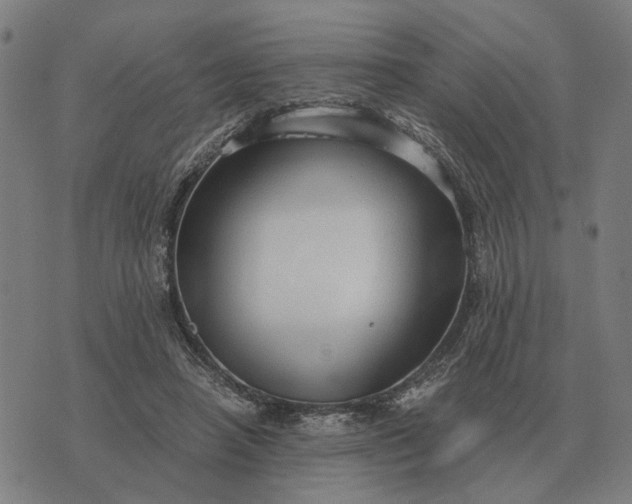 X0000076090450200610061645