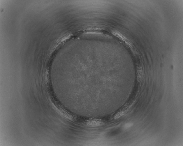 X0000076090451200610061645