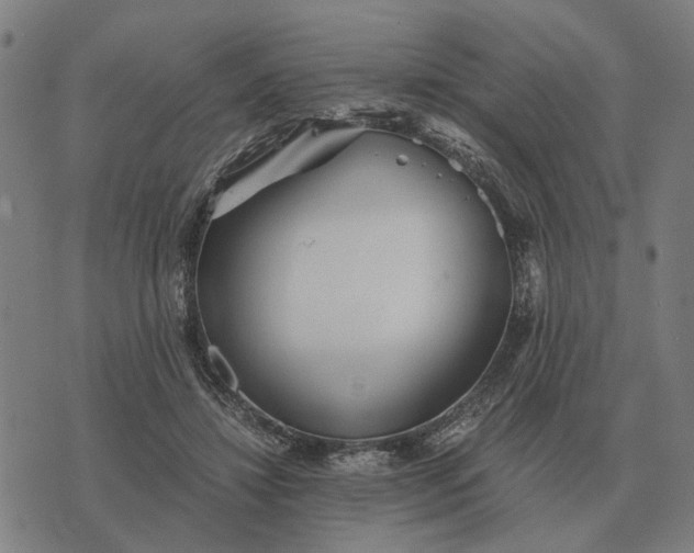 X0000076090452200610061645