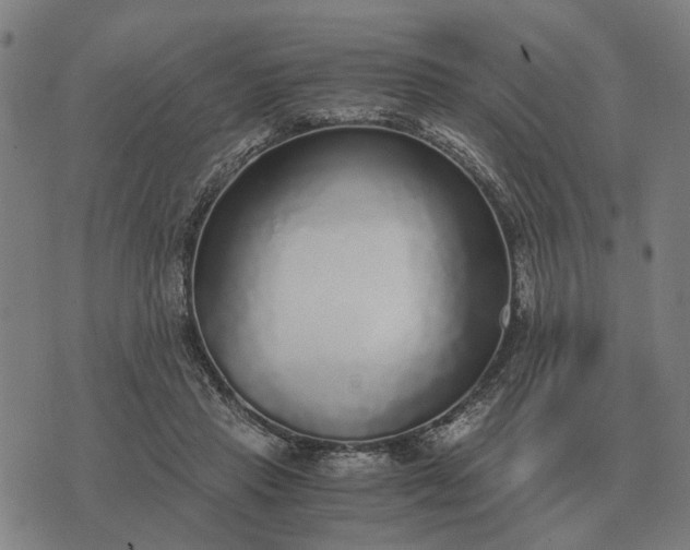 X0000076090453200610061645