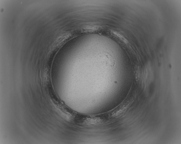 X0000076090455200610061645