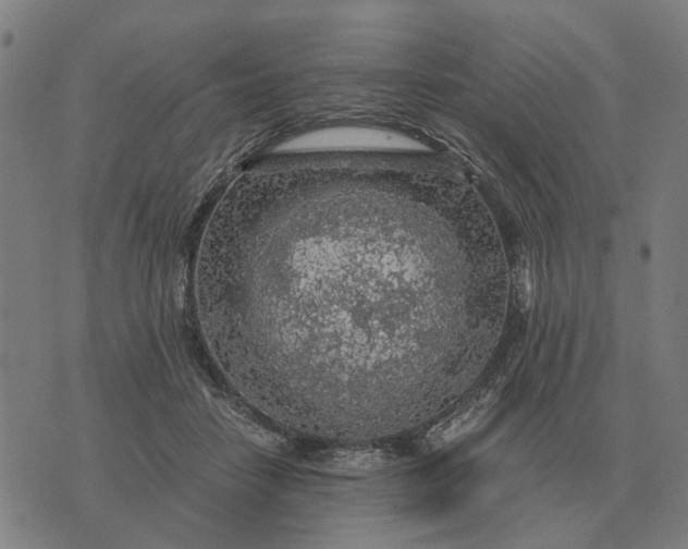 X0000076090458200610061645