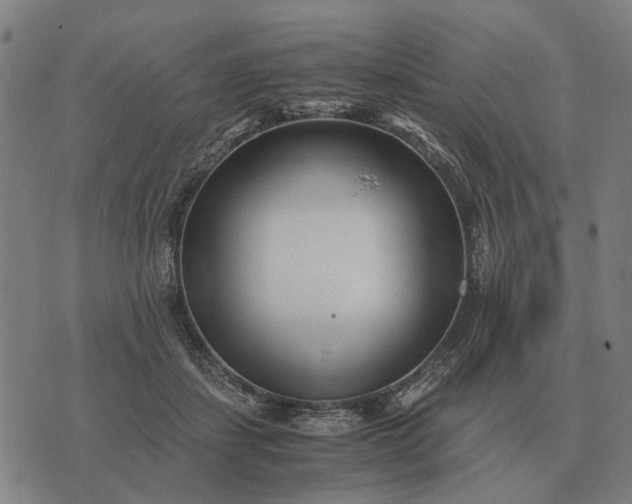 X0000076090459200610061645