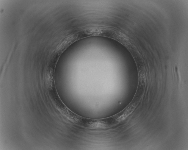 X0000076090460200610061645