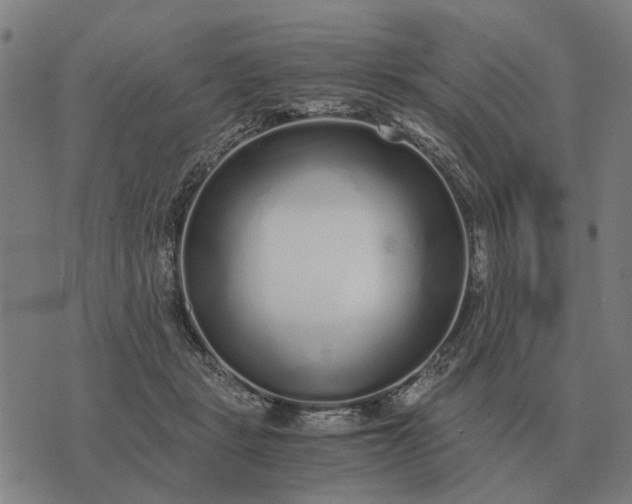 X0000076090461200610061645