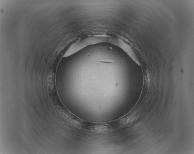 X0000076090462200610061645