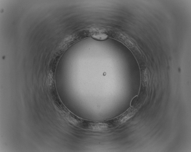 X0000076090463200610061645