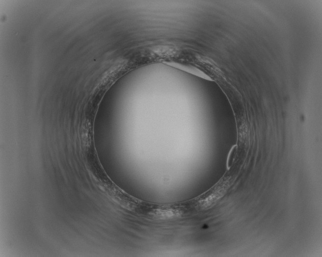 X0000076090464200610061645