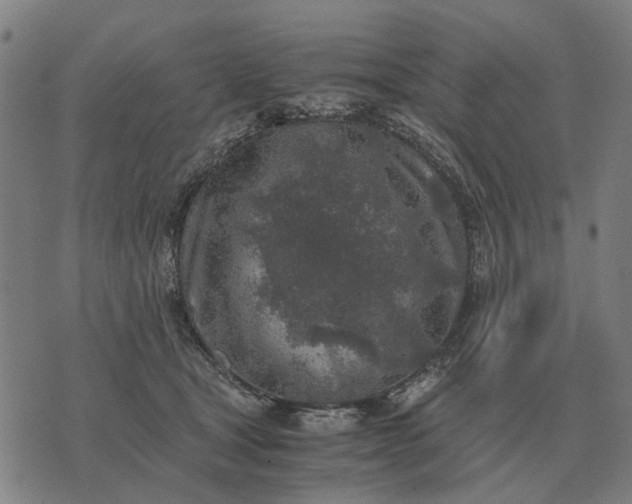 X0000076090465200610061645